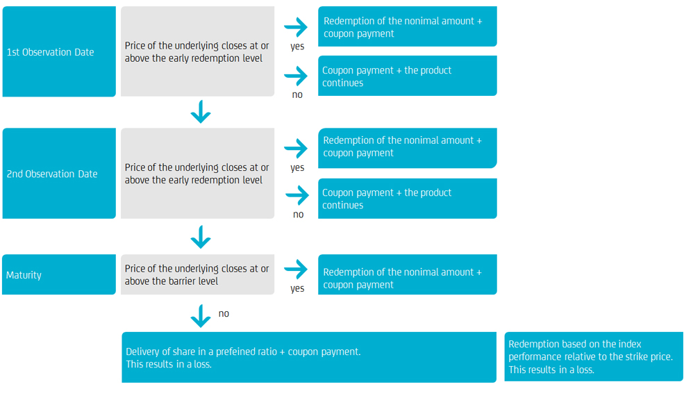 Redemption profile of a HVB Express Reverse Convertible Protect on Shares Redemption profile of a HVB Express Reverse Convertible Protect on Shares
